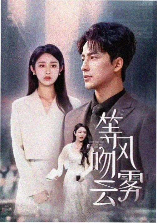 城中之城 都市剧在线观看